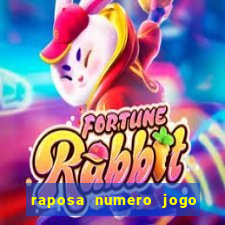 raposa numero jogo do bicho